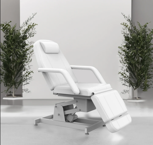 KARMA BEAUTY BED HAMILTON PART ELECTRIC WHITE V2