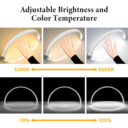 Arch LED Nail Table Lamp