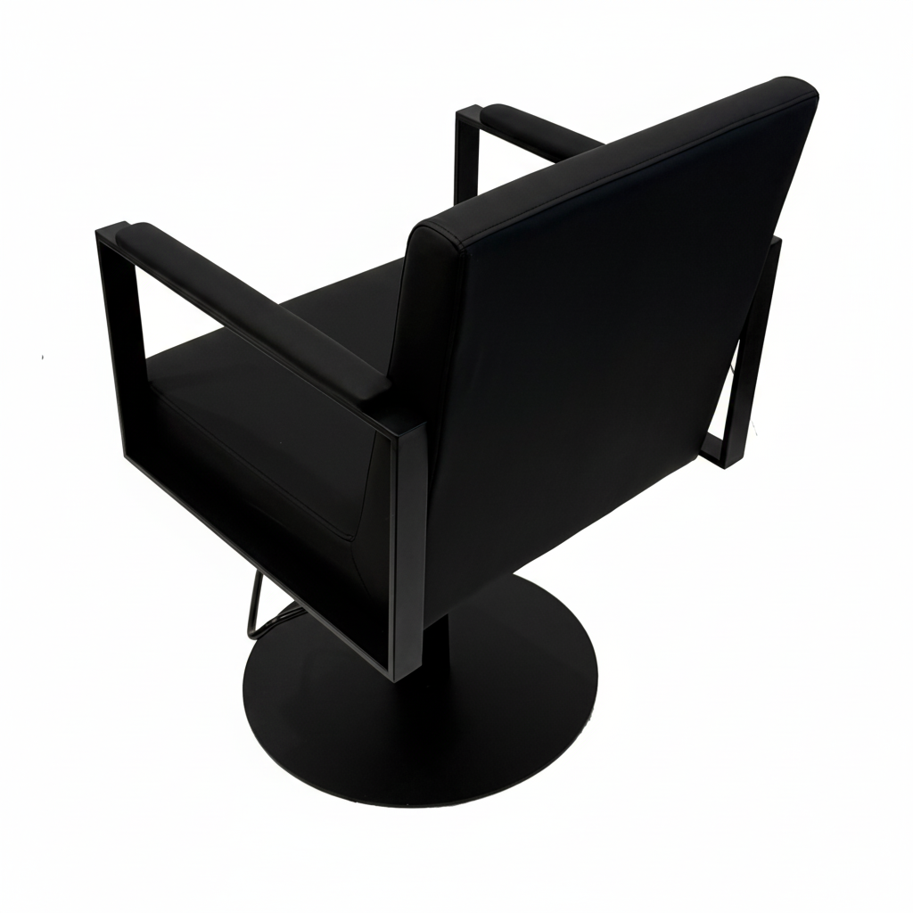 Black Chair - Rear (Resized)